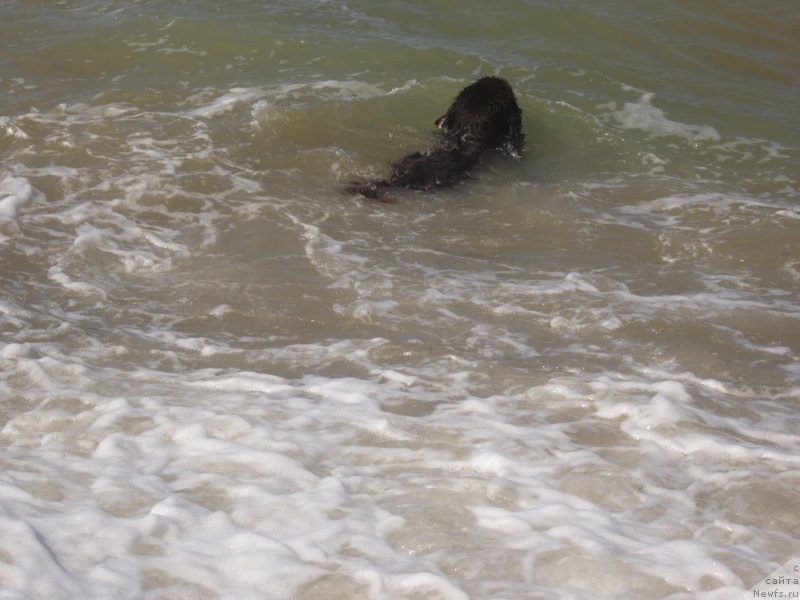 Фотография № 147351