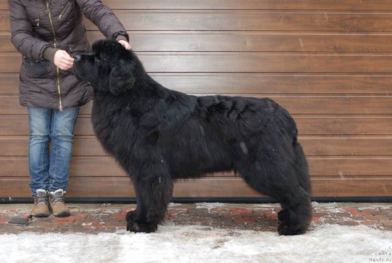 Фотография № 147386