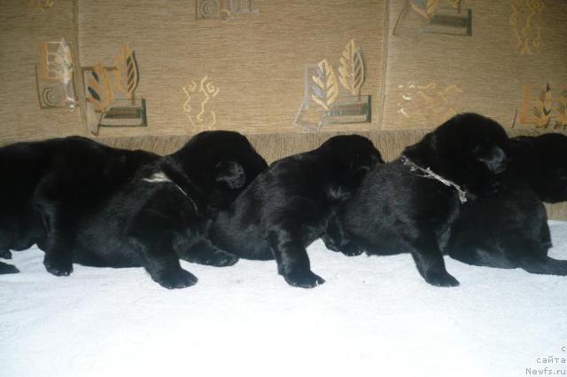 Фотография № 14740