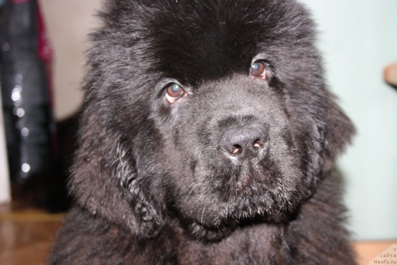 Фотография № 147414