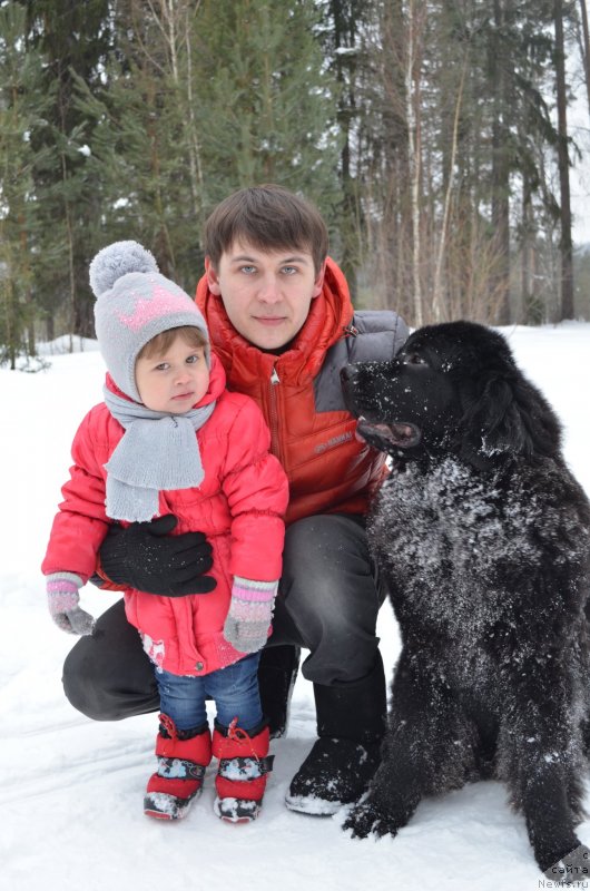 Фотография № 147449