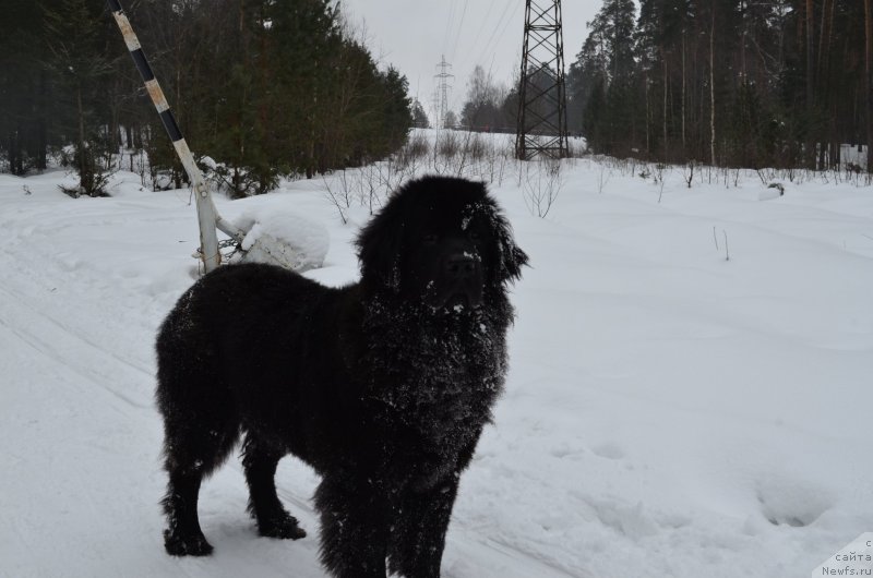 Фотография № 147450