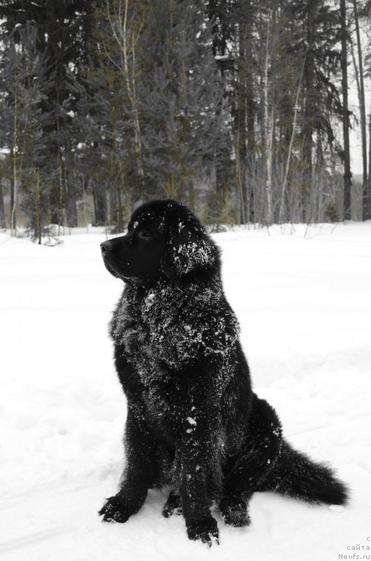 Фотография № 147451