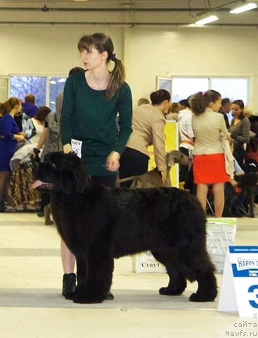 Фотография № 147457