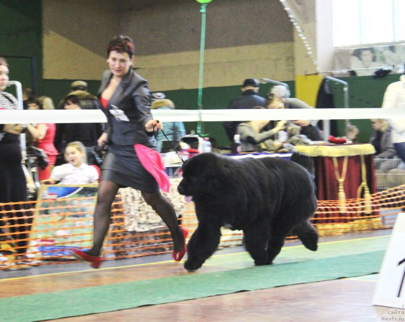 Фотография № 147463