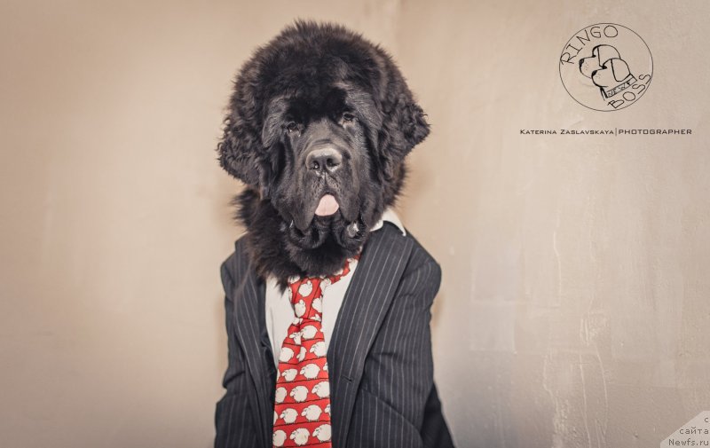 Фотография № 147470