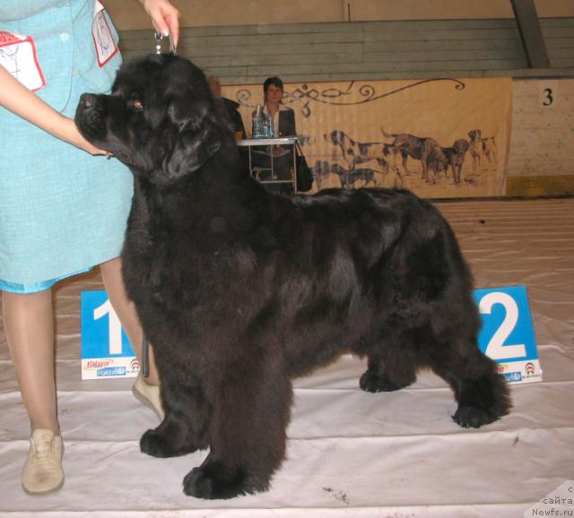 Фотография № 14748