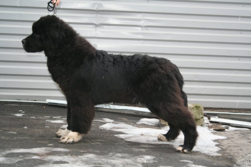 Фотография № 147483