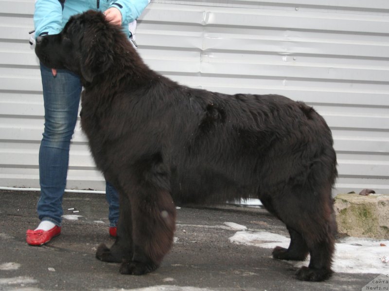 Фотография № 147500