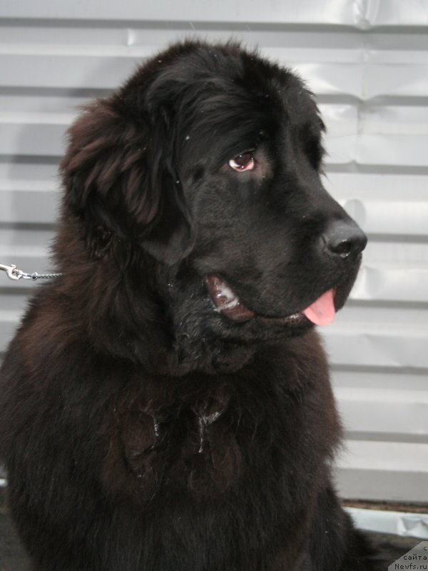 Фотография № 147502