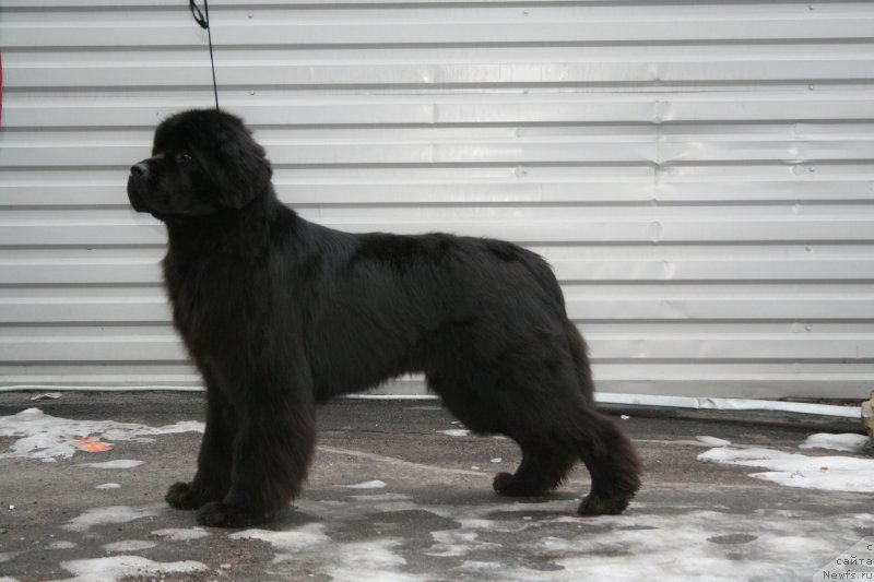 Фотография № 147515