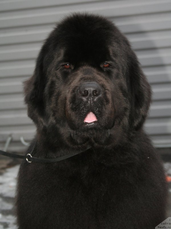 Фотография № 147519