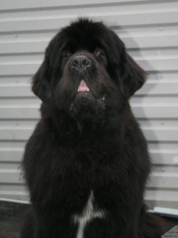 Фотография № 147524