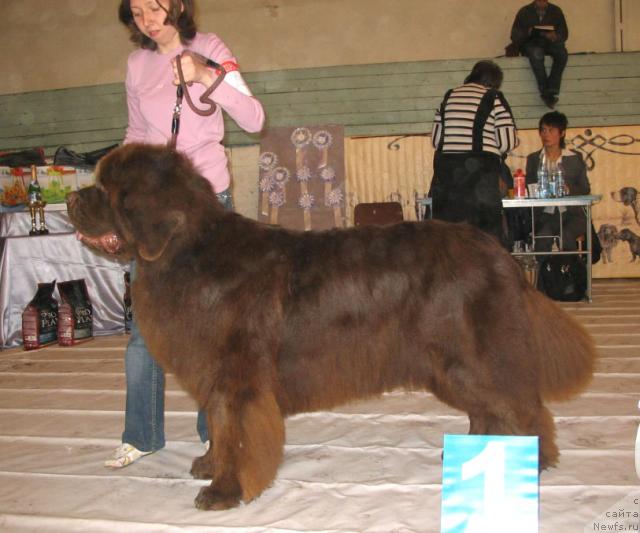 Фотография № 14754