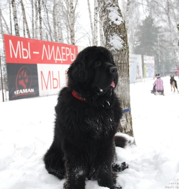 Фотография № 147543