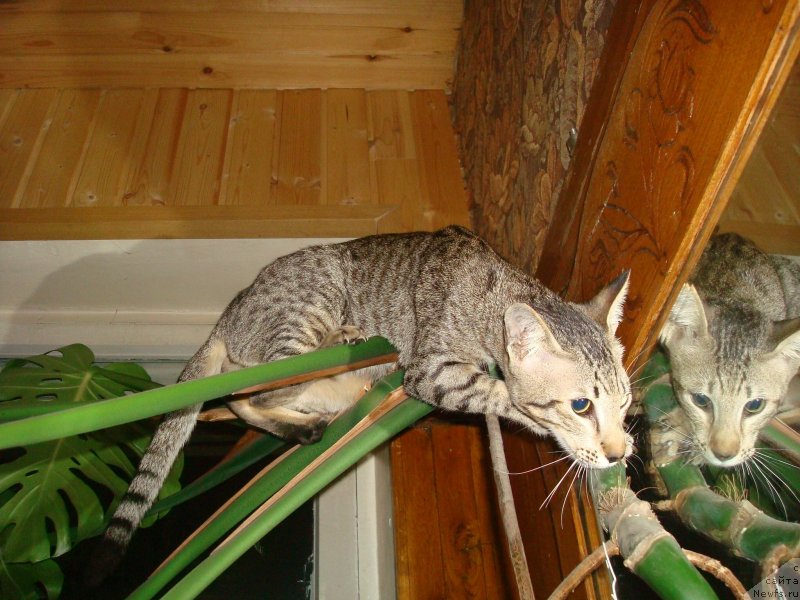 Фото: Сергей Жуков