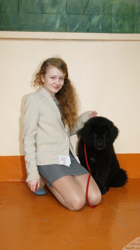 Фото: Вакула Олимпийский Мишка (о., [d10060] х, [d13090]), Валерия Михайловская