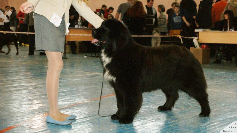 Фотография № 147556