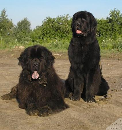 Фотография № 14756