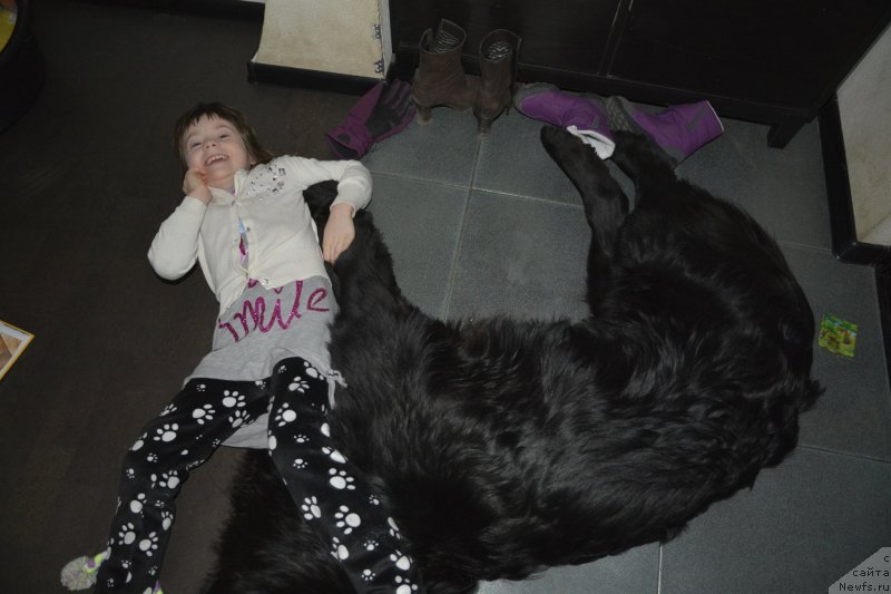 Фотография № 147564