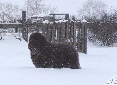 Фото: Ирина Панюшкина