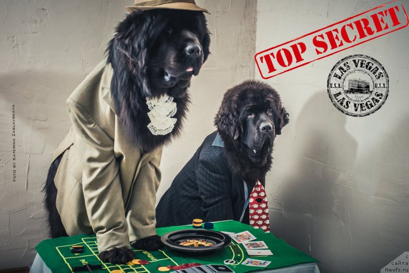 Фотография № 147588