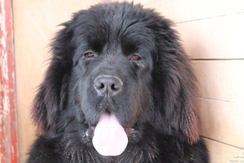 Фотография № 147633