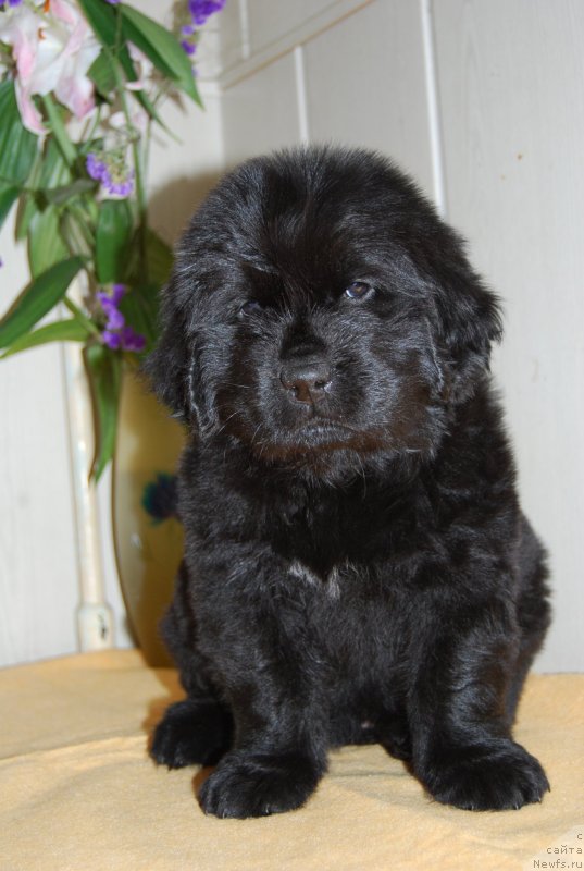 Фотография № 147671