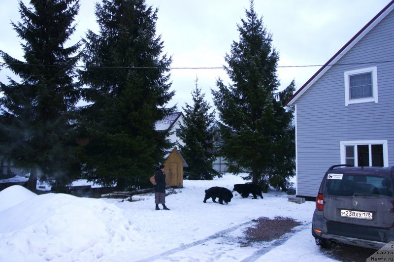 Фото: Анна Ковалёва