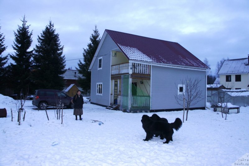 Фото: Анна Ковалёва