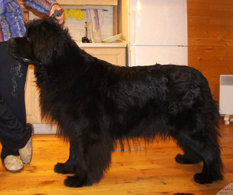 Фотография № 147692