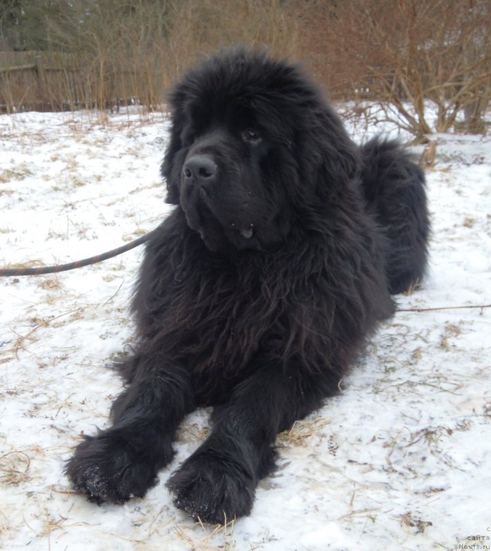 Фотография № 147740