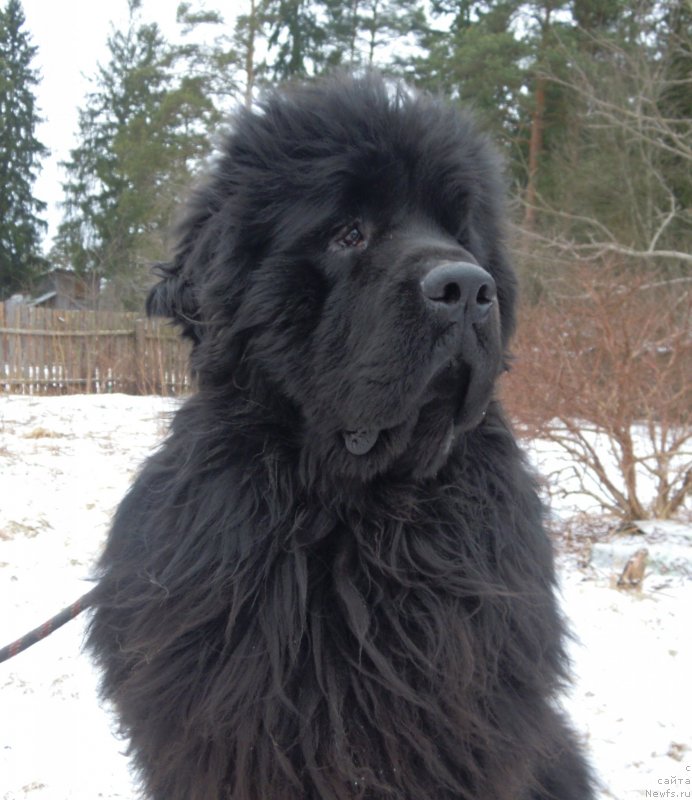 Фотография № 147742