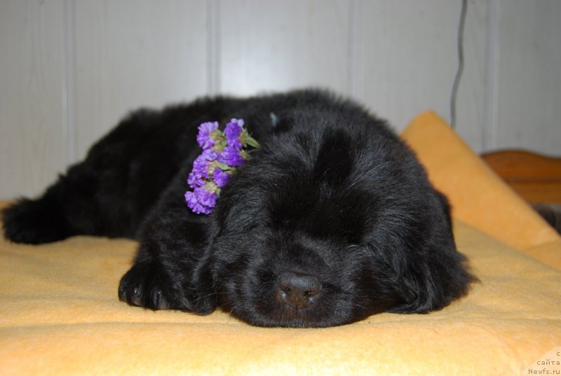 Фотография № 147757