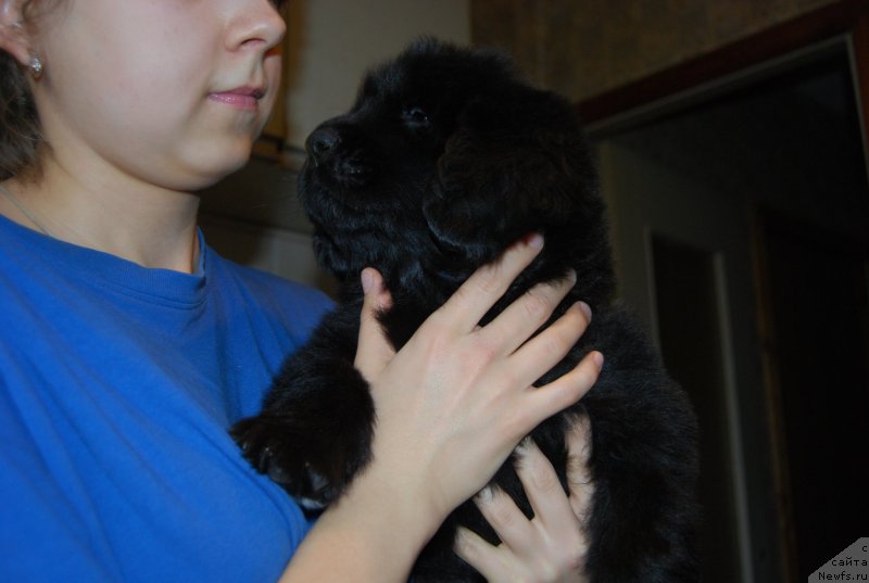 Фотография № 147762