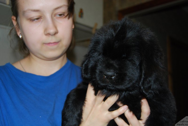 Фотография № 147763