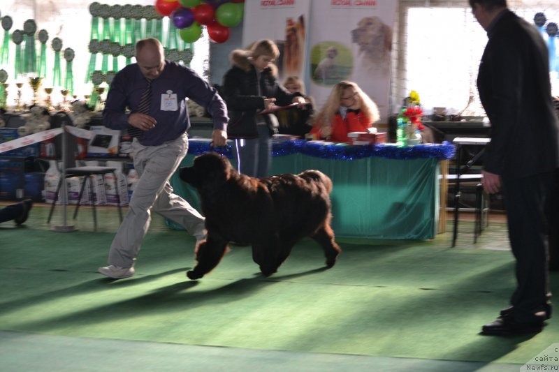 Фотография № 147764