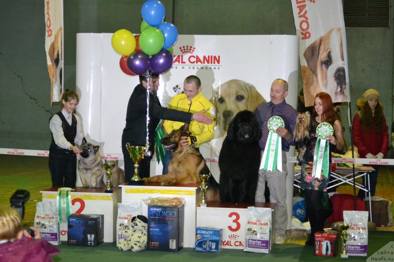 Фотография № 147786