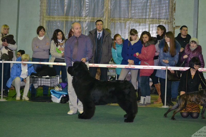 Фотография № 147788