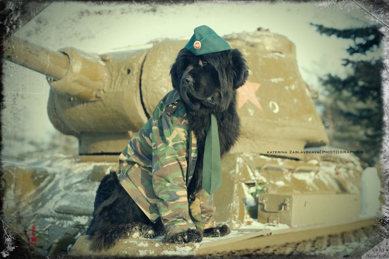 Фотография № 147795