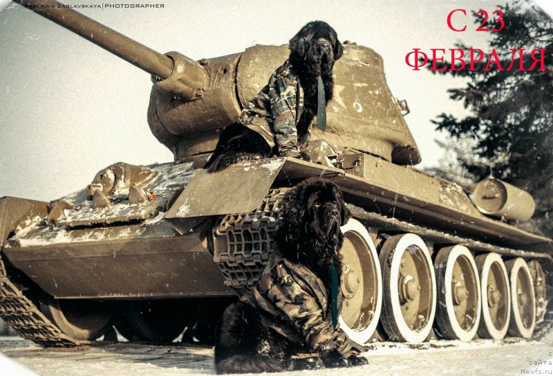 Фотография № 147798