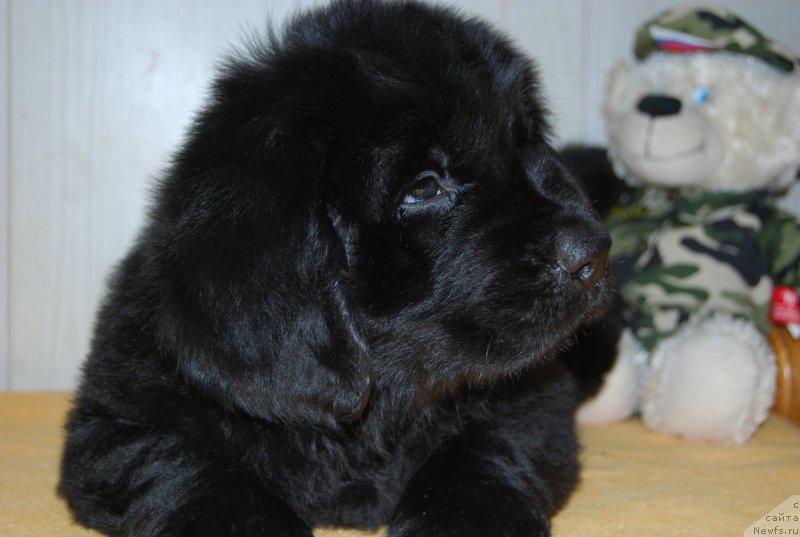 Фотография № 147807