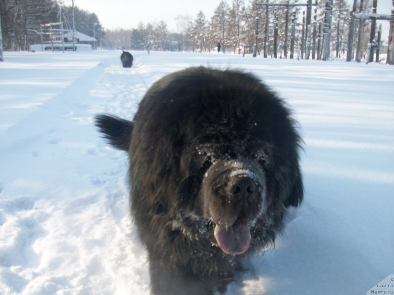 Фотография № 147814