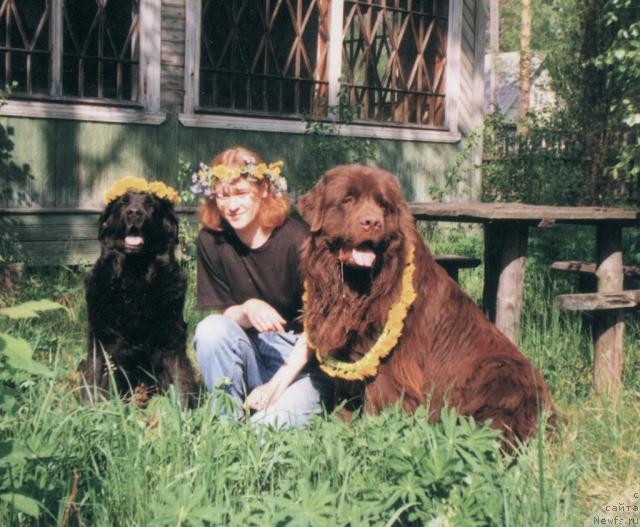 Фотография № 14786