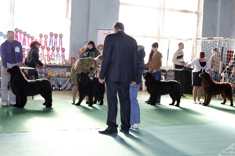 Фотография № 147875