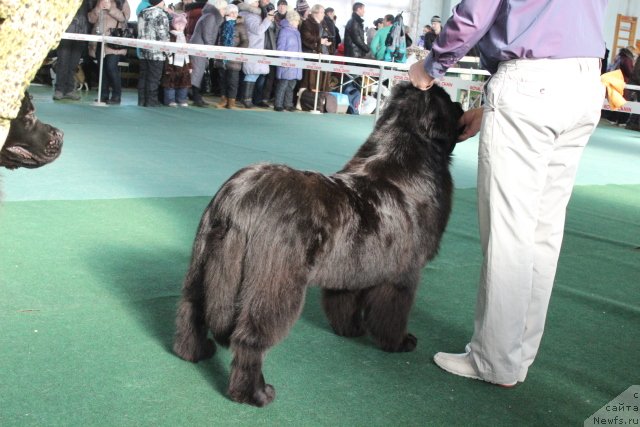 Фотография № 147881