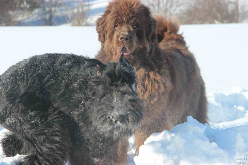 Фотография № 147915