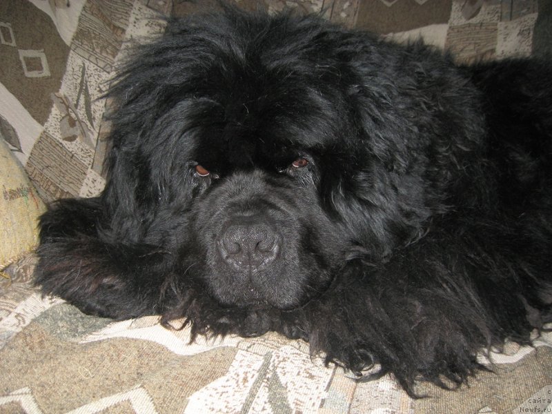 Фотография № 147920