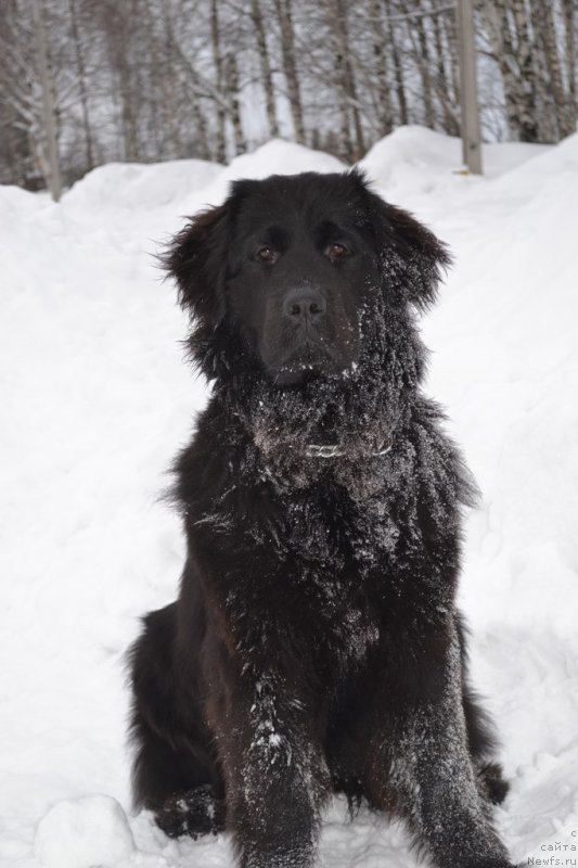 Фотография № 147934