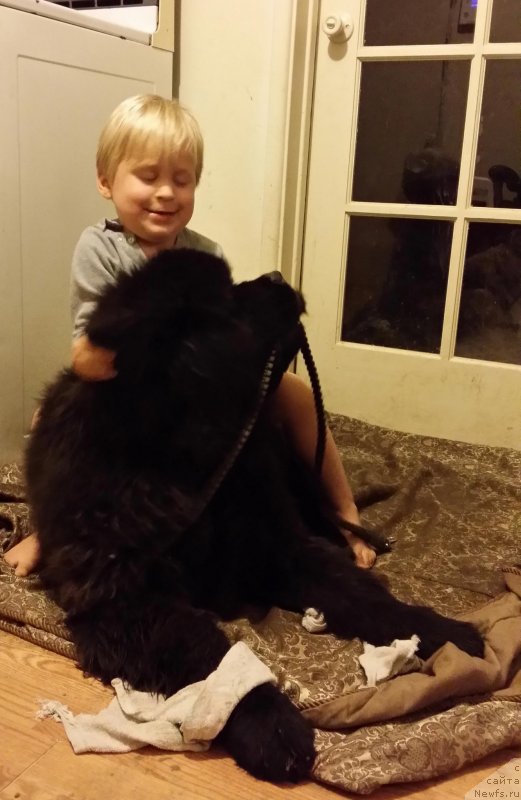 Фотография № 147968